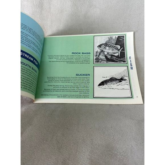 1970'S Ohio Department Natural Resources Books NATURE LORE BOOK cottagecore - Picture 5 of 7